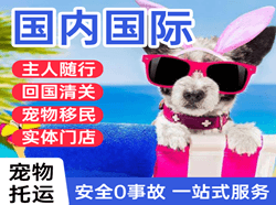锦州湾空运公司国际宠物托运 【国